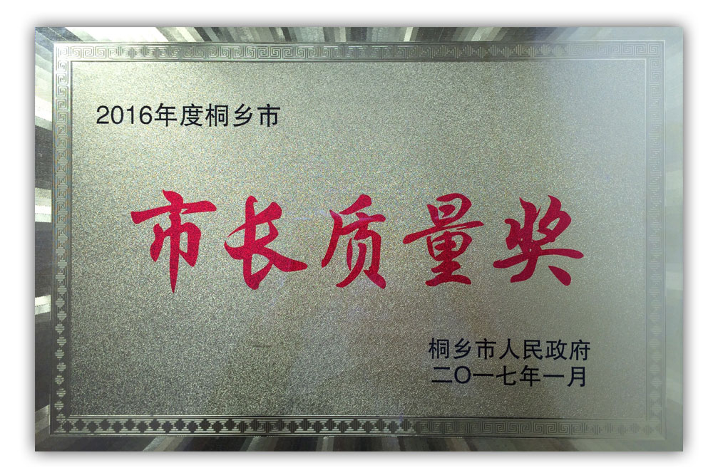 2016年度-桐鄉市（shì）市長質量獎