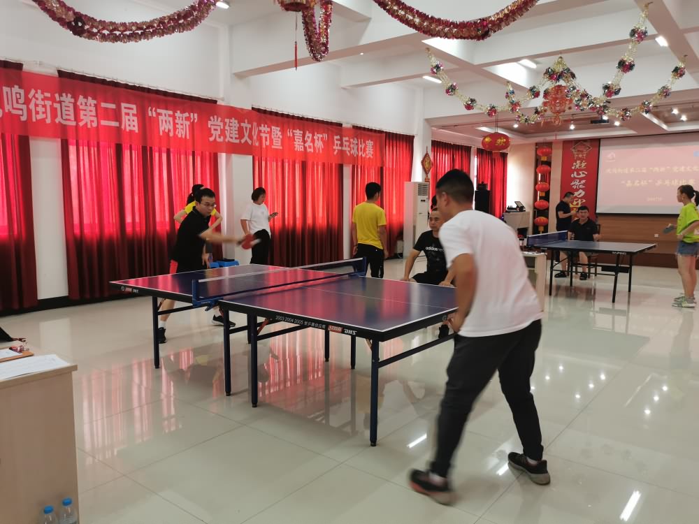 兩新（xīn）黨建文化節-乒乓球比賽