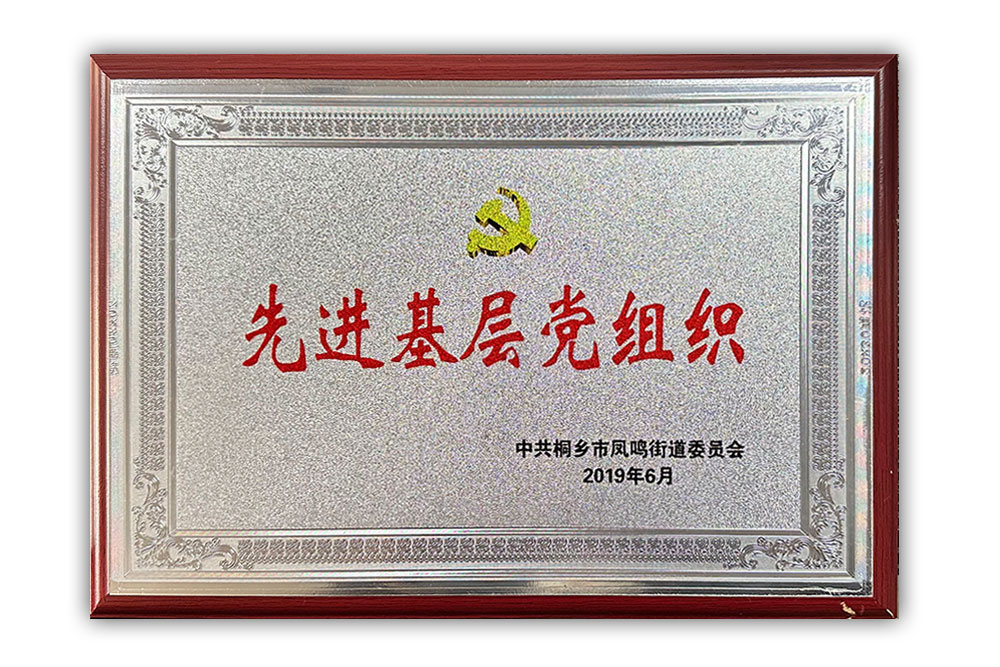先進（jìn）基層（céng）黨組織