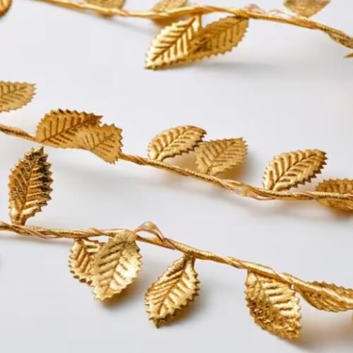 20231122室（shì）內