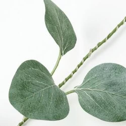 20231122室（shì）內